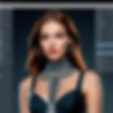 Innovative fashion design software interface