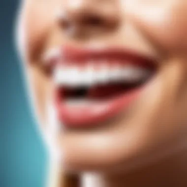 Pricing Structures Overview Overview of pricing structures for dental appointment software