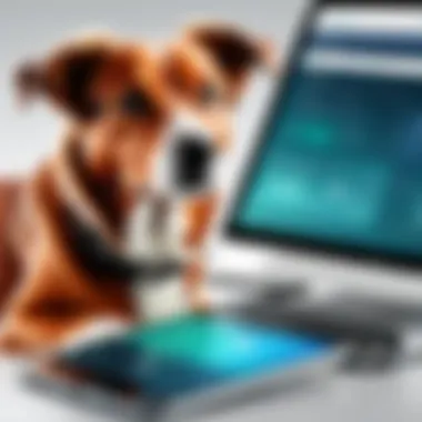 Client Engagement Tools Offered by ezyVet Client Engagement Tools in ezyVet
