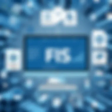 Notable Comprehensive Analysis of the FIS Core System Notable Comprehensive Analysis of the FIS Core System