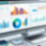 User interface of budgeting software tailored for nonprofit organizations