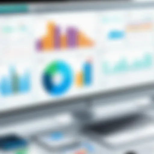 User interface of budgeting software tailored for nonprofit organizations