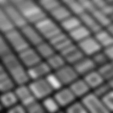 Variety of Barcode Types Different types of barcodes displayed on various products