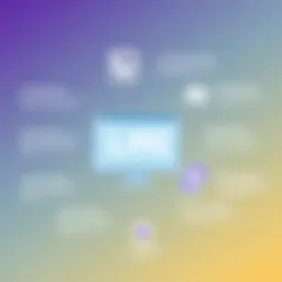 Visual representation of LMS features