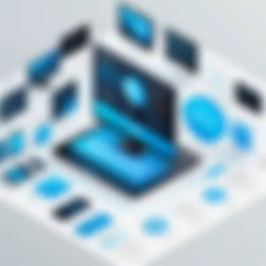 Infographic detailing functionality of B2B software solutions