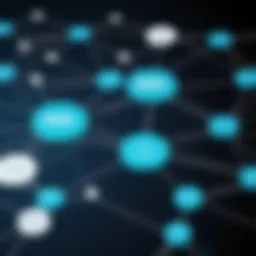 Illustration of MLM network structure