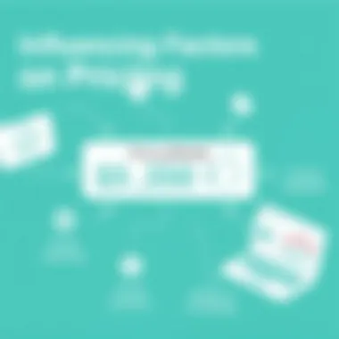 Factors influencing pricing decisions in the software industry