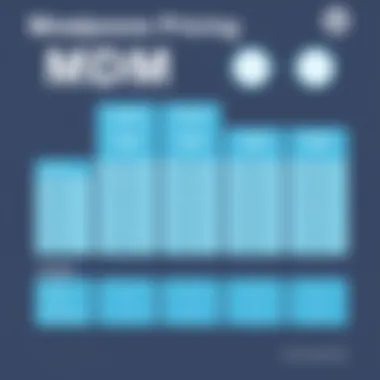 Detailed pricing structure for Miradore MDM services
