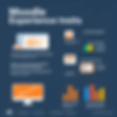 Moodle User Experience Insights Visual representation of user feedback and experience with Moodle