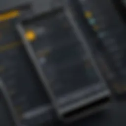 Overview of Norton Mobile interface