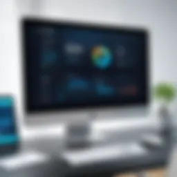 Overview of Time Billing Software Interface