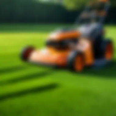 Illustration of lawn care service optimization techniques