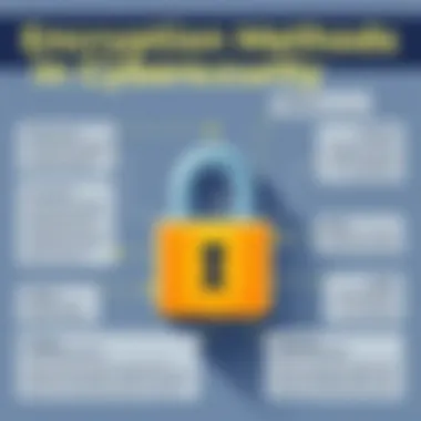 Encryption Methods in Cybersecurity Infographic on encryption methods used in cybersecurity