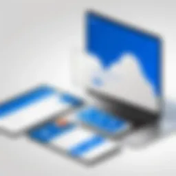 Visual representation of OneDrive for Business subscription tiers